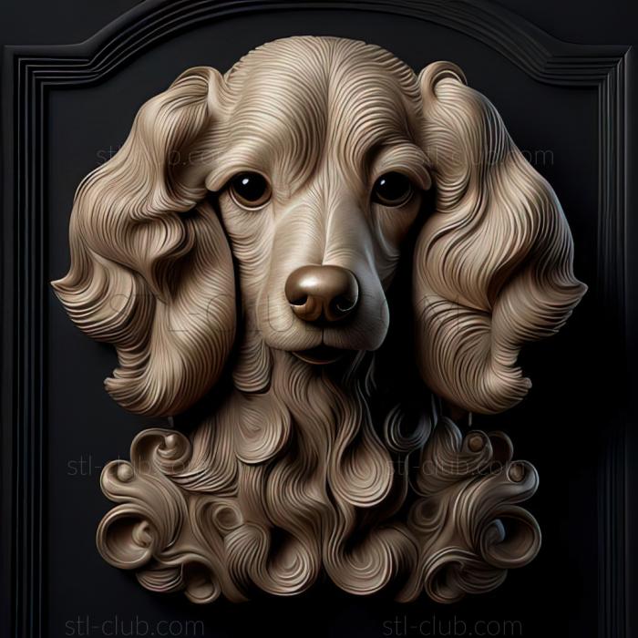 st Poodle dog